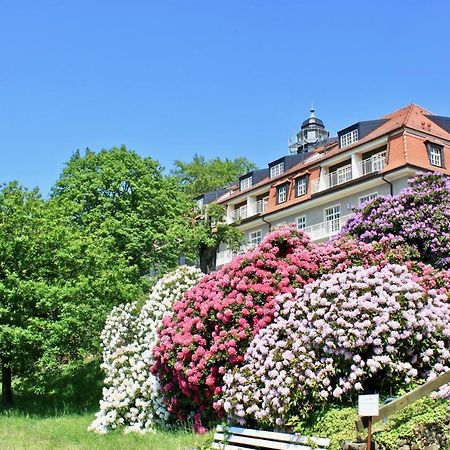 Ferienwohnung Natur Und Kunst Drezno Zewnętrze zdjęcie