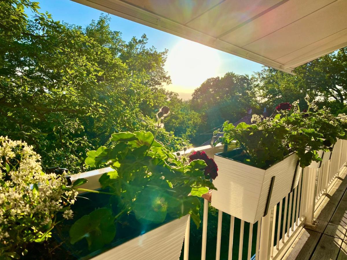 Ferienwohnung Natur Und Kunst Drezno Zewnętrze zdjęcie
