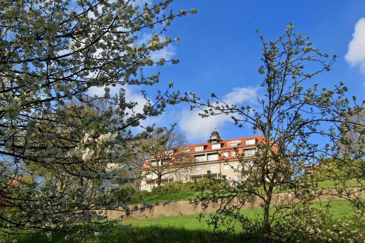 Ferienwohnung Natur Und Kunst Drezno Zewnętrze zdjęcie
