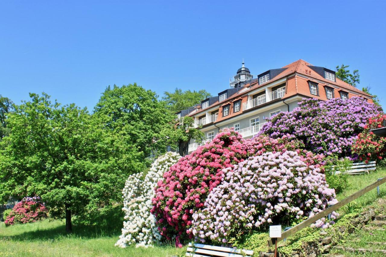 Ferienwohnung Natur Und Kunst Drezno Zewnętrze zdjęcie