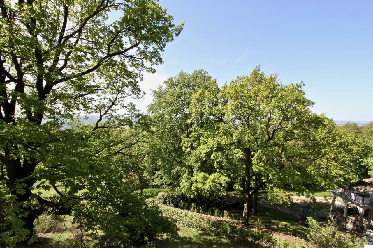 Ferienwohnung Natur Und Kunst Drezno Zewnętrze zdjęcie