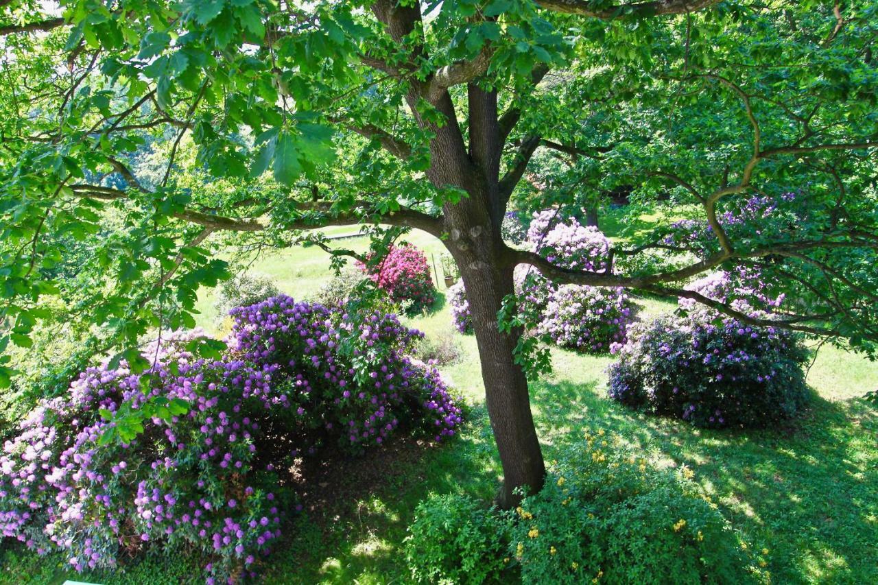 Ferienwohnung Natur Und Kunst Drezno Zewnętrze zdjęcie