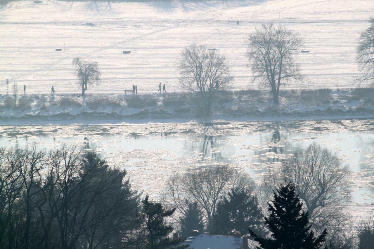 Ferienwohnung Natur Und Kunst Drezno Zewnętrze zdjęcie