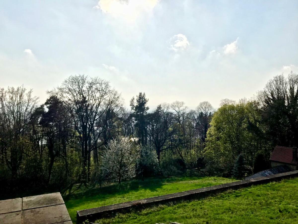 Ferienwohnung Natur Und Kunst Drezno Zewnętrze zdjęcie
