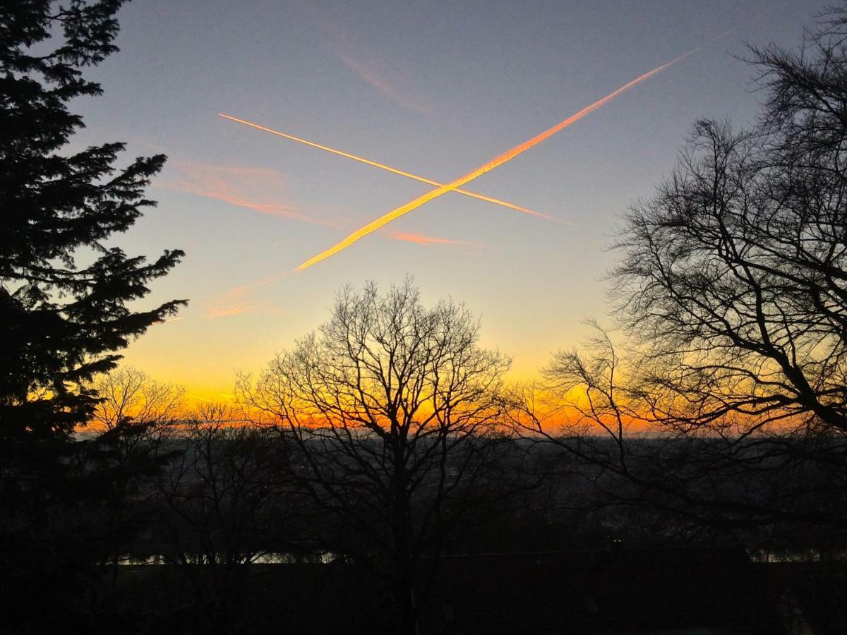 Ferienwohnung Natur Und Kunst Drezno Zewnętrze zdjęcie