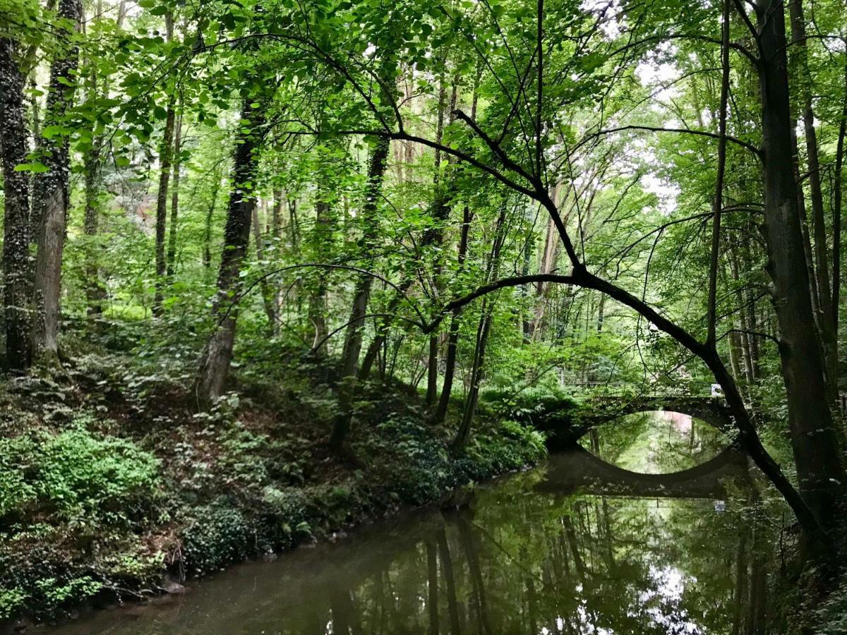 Ferienwohnung Natur Und Kunst Drezno Zewnętrze zdjęcie