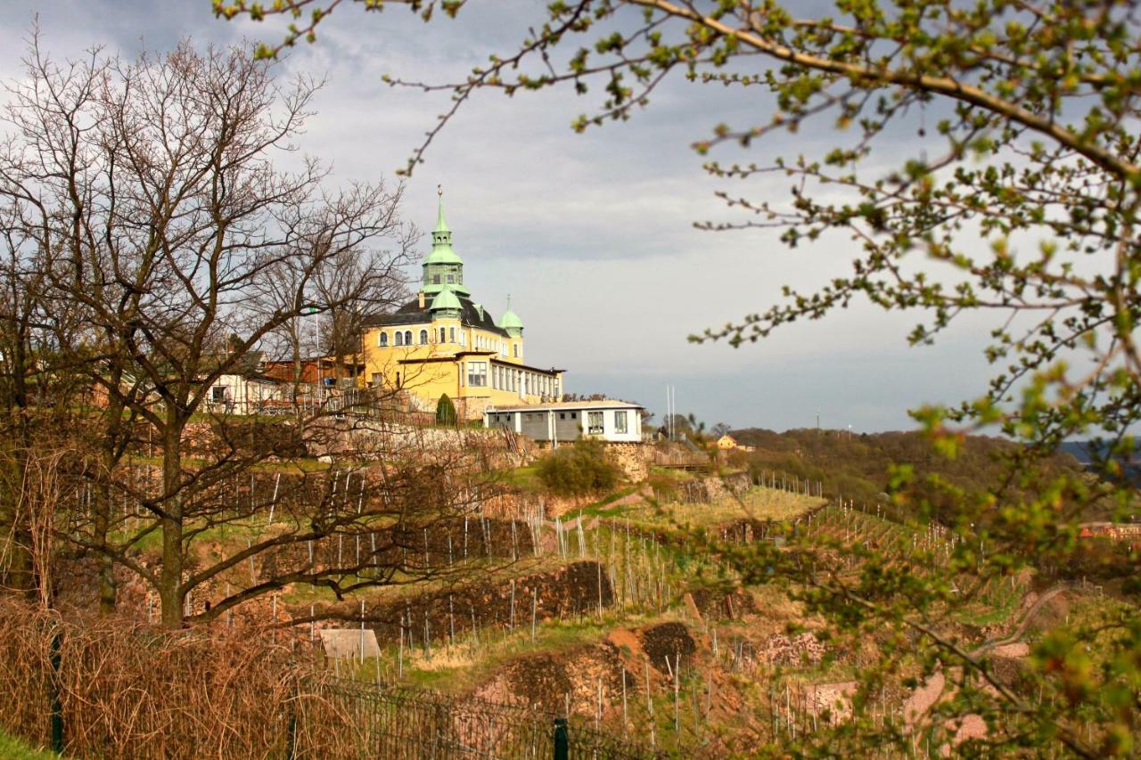 Ferienwohnung Natur Und Kunst Drezno Zewnętrze zdjęcie