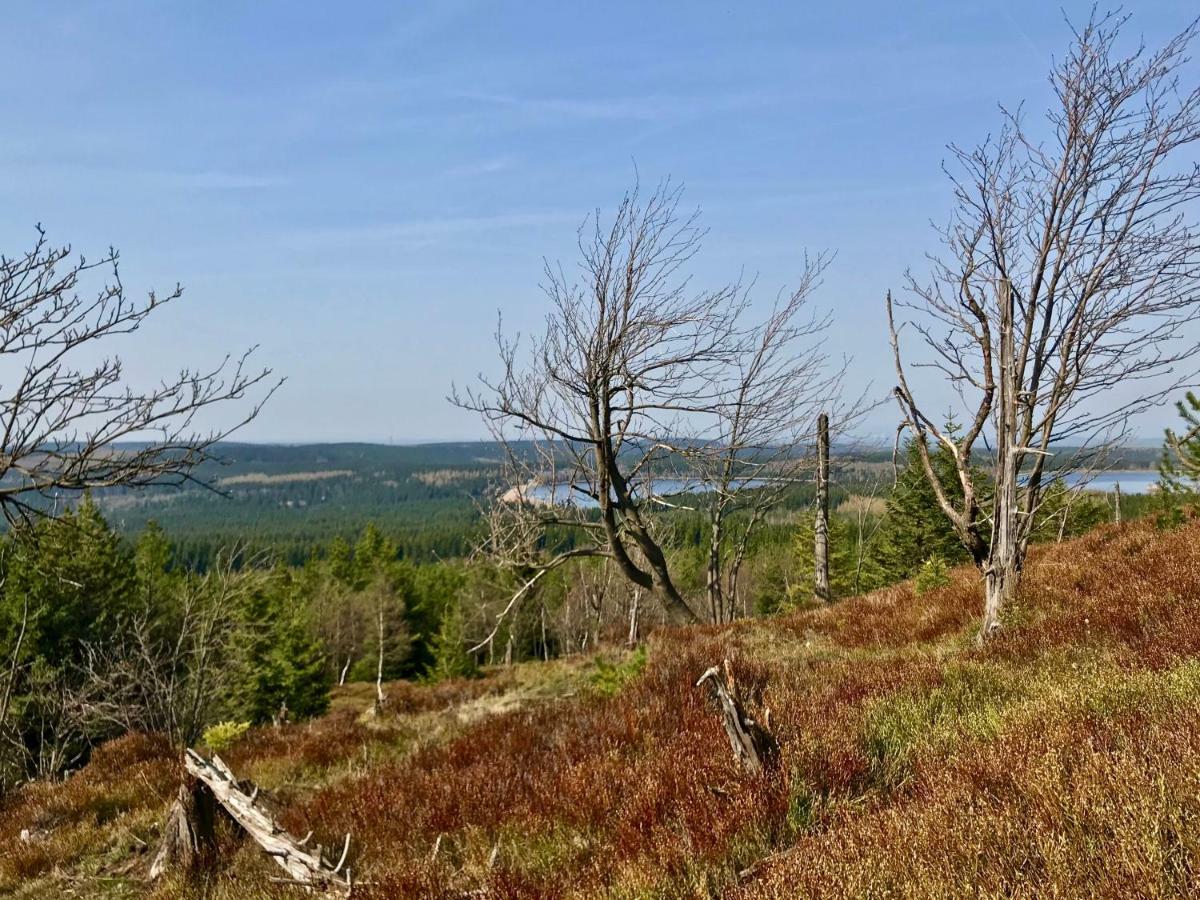 Ferienwohnung Natur Und Kunst Drezno Zewnętrze zdjęcie