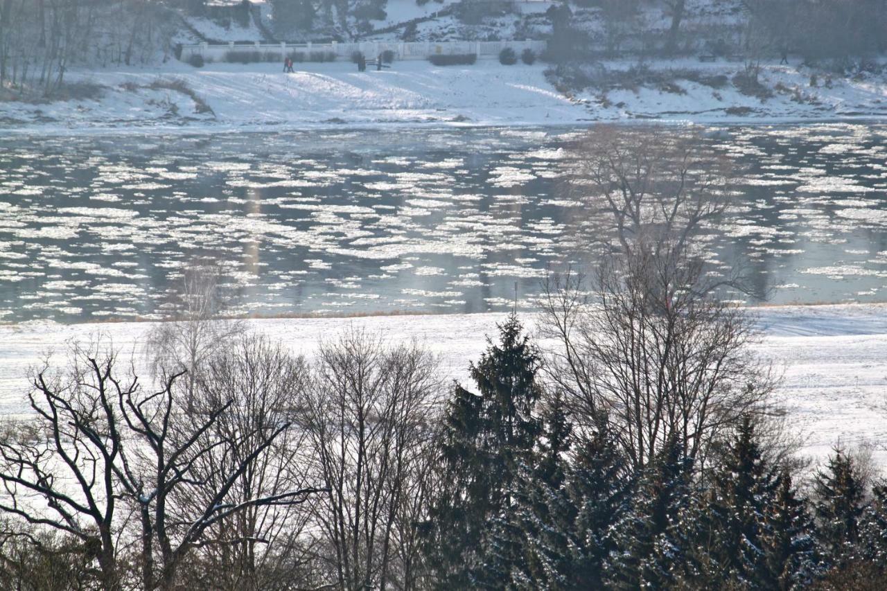Ferienwohnung Natur Und Kunst Drezno Zewnętrze zdjęcie
